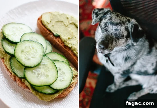 Green Goddess Hummus Sandwich Recipe for Vibrant Lunch Ideas 4 cucumber sandwich