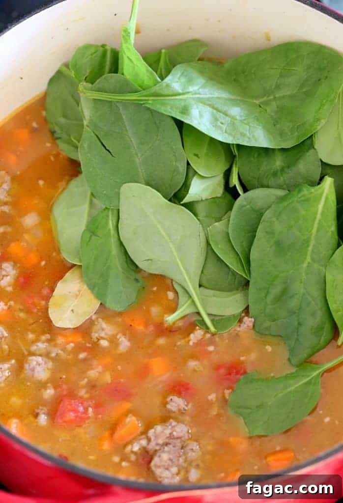 Low-Carb Sausage and Vegetable Soup Recipe for Weight Loss 5 fresh spinach going into low carb soup recipe