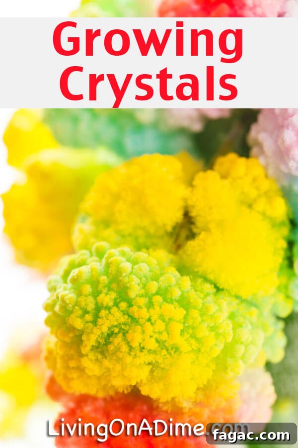 How to Grow Crystals at Home: A Fun Science Project for Kids 2 Growing Crystals Recipe - Kids Experiments