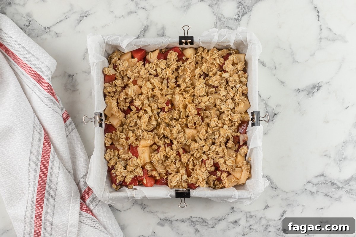 Apple Plum Crumble Bars with Oat Topping Recipe 6 Before Baking Fully Constructed Crumb Bars