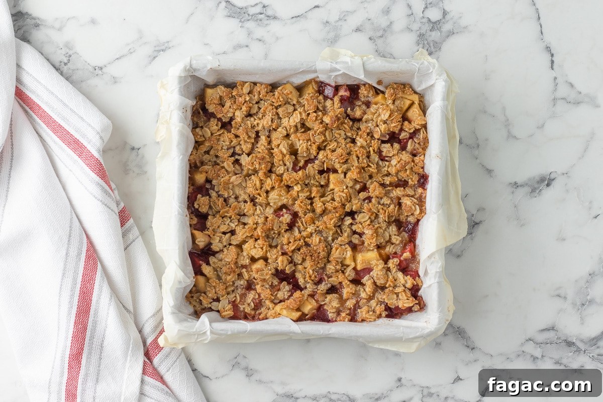 Apple Plum Crumble Bars with Oat Topping Recipe 7 Fully baked crumb bars