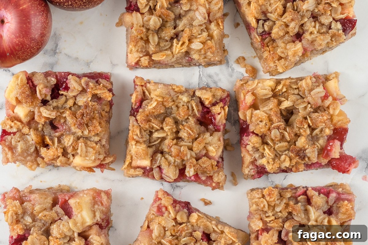 Apple Plum Crumble Bars with Oat Topping Recipe 8 Overhead shot of Gluten Free baked Apple and Plum Crumble Bars
