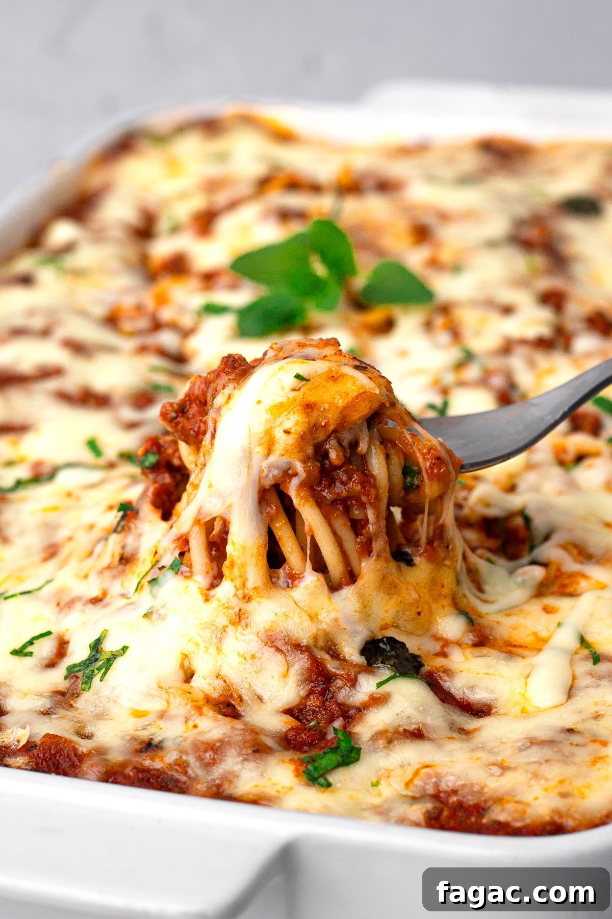 27 Simple High-Protein Christmas Recipes for Busy Cooks 20 High Protein Spaghetti Casserole