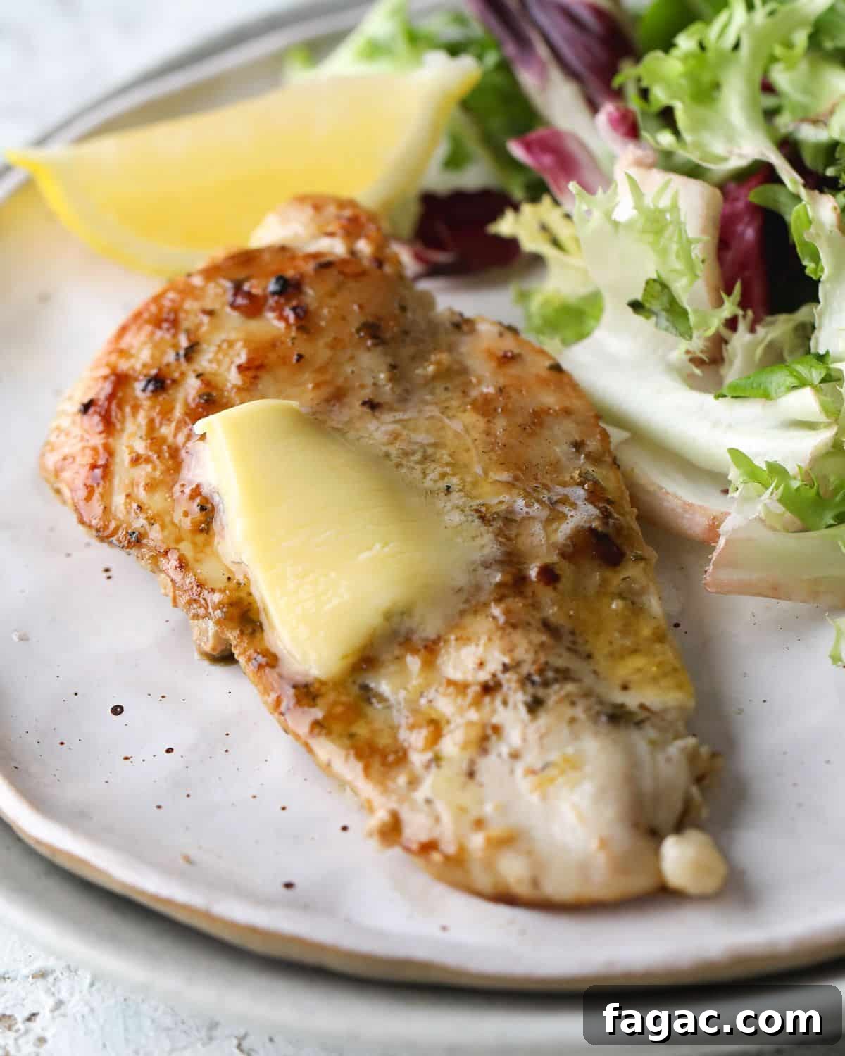 27 Simple High-Protein Christmas Recipes for Busy Cooks 28 Cast Iron Skillet Chicken Breast