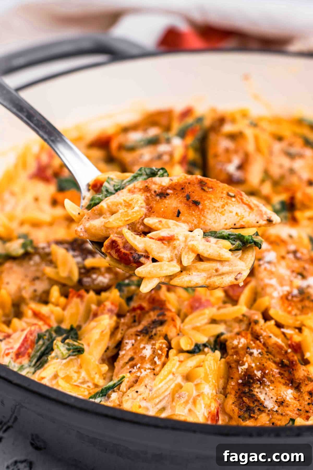 27 Simple High-Protein Christmas Recipes for Busy Cooks 6 chicken orzo with sun-dried tomatoes