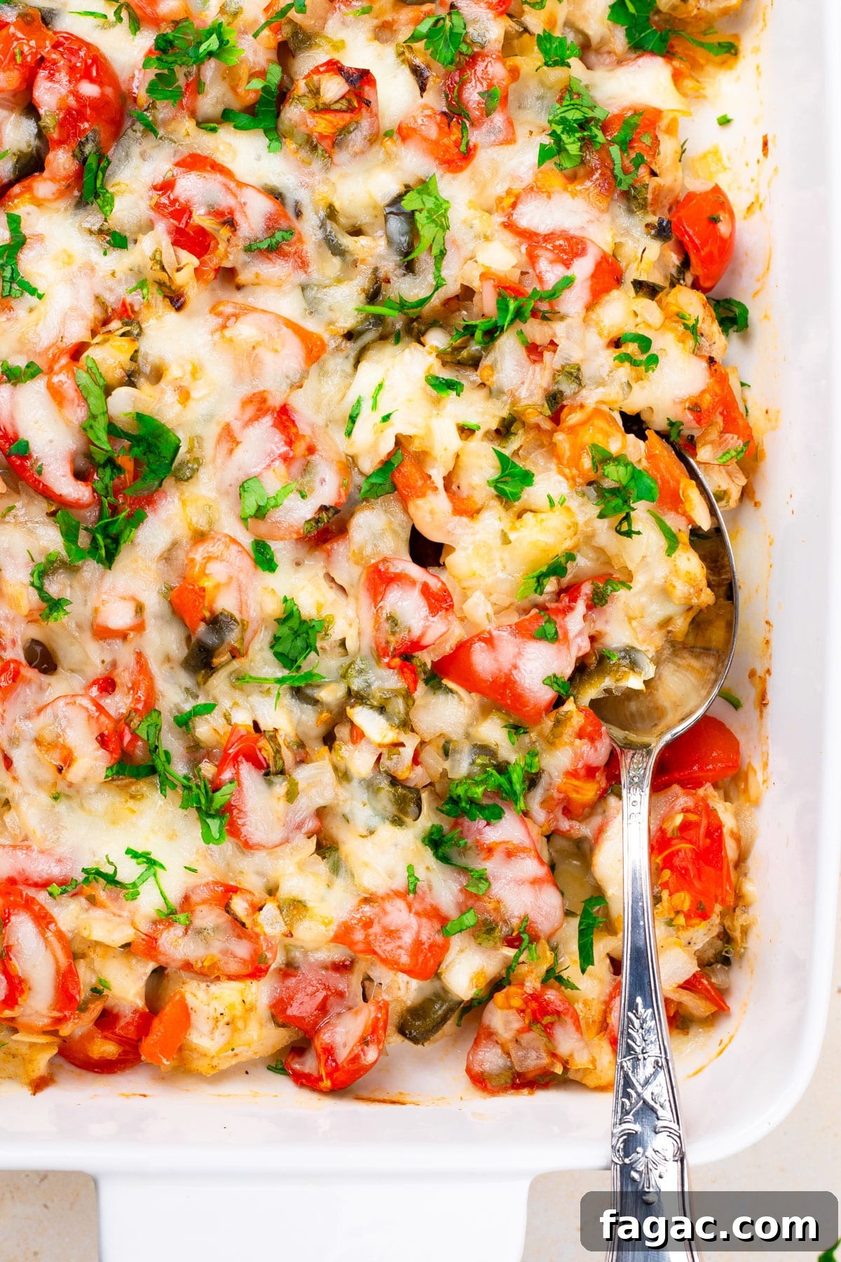 27 Simple High-Protein Christmas Recipes for Busy Cooks 7 salsa fresca chicken