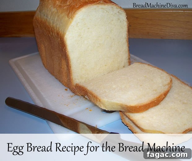 Homemade Egg Bread Recipe