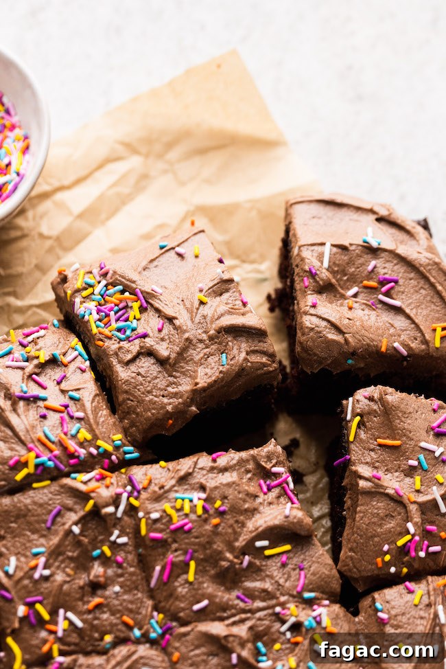 Decadent Dark Chocolate Birthday Snack Cake Recipe 2 img 1815 1