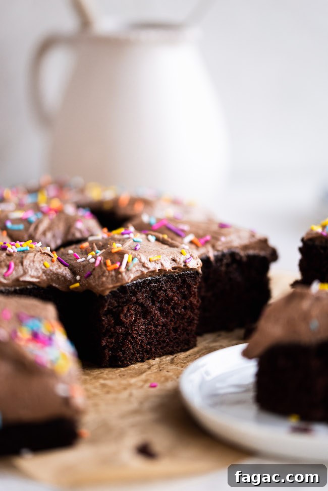 Decadent Dark Chocolate Birthday Snack Cake Recipe 3 img 1815 2