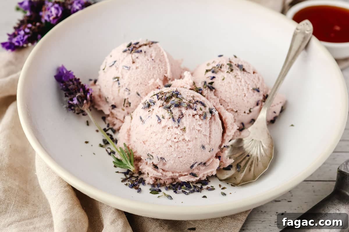 Homemade Lavender Ice Cream Recipe with Creamy Floral Flavor 2 3 scoops of lavender ice cream in a bowl with a spoon on the side, decorated with lavender flowers.