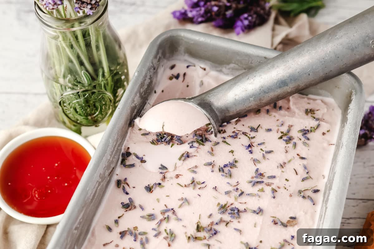 Homemade Lavender Ice Cream Recipe with Creamy Floral Flavor 6 Scooping lavender ice cream from a container.