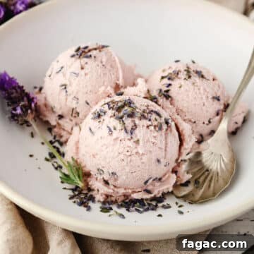 Homemade Lavender Ice Cream Recipe with Creamy Floral Flavor 8 Lavender ice cream