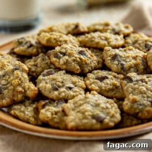 Chocolate Chip Banana Oat Oatmeal Cookies Recipe 9 A plate full of baked cookies.