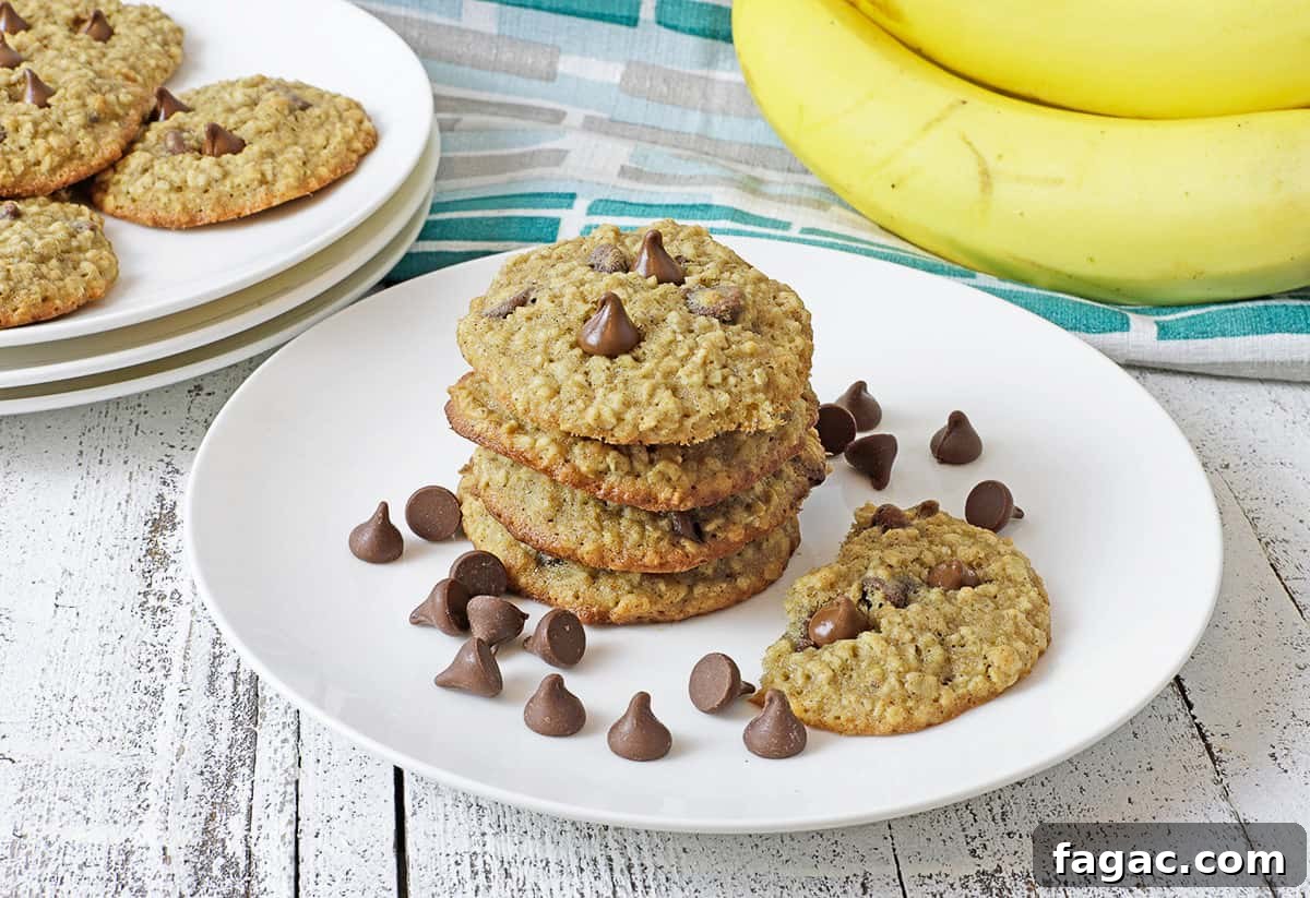 Chocolate Chip Banana Oat Oatmeal Cookies Recipe 11 baked cookies stacked on a white plate with chocolate chips scattered around and fresh bananas in the background