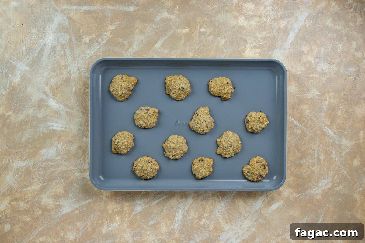 Chocolate Chip Banana Oat Oatmeal Cookies Recipe 7 Twelve baked cookies on a sheet pan.