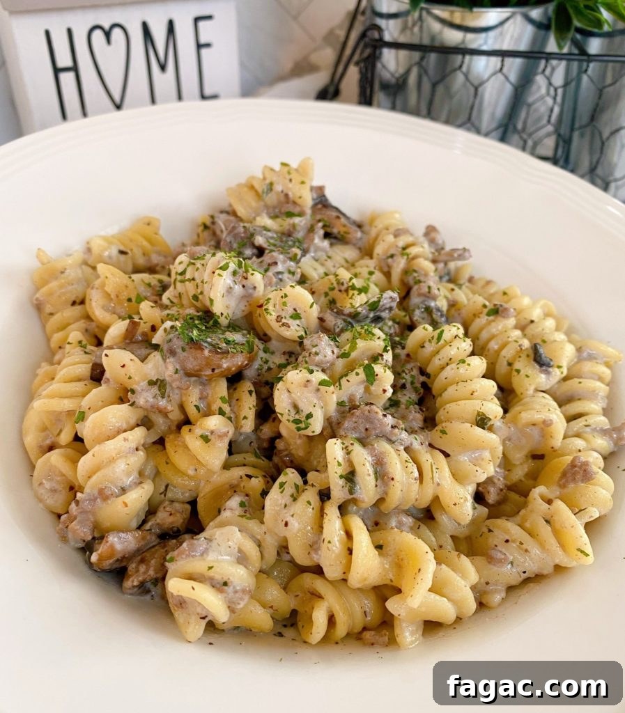 Quick Ground Beef Stroganoff Recipe for Weeknights 2 White shallow bowl full of a serving of Ground Beef Stroganoff.
