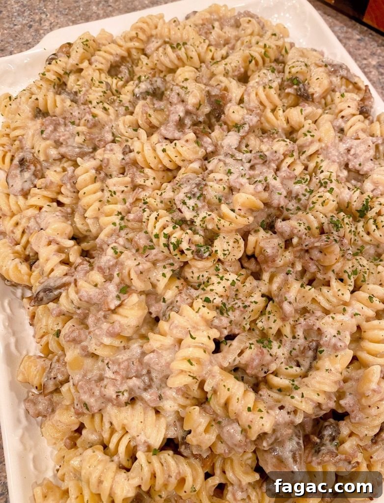 Quick Ground Beef Stroganoff Recipe for Weeknights 8 Beef Stroganoff on large serving platter ready to serve.