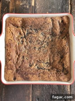 prune blondie final product