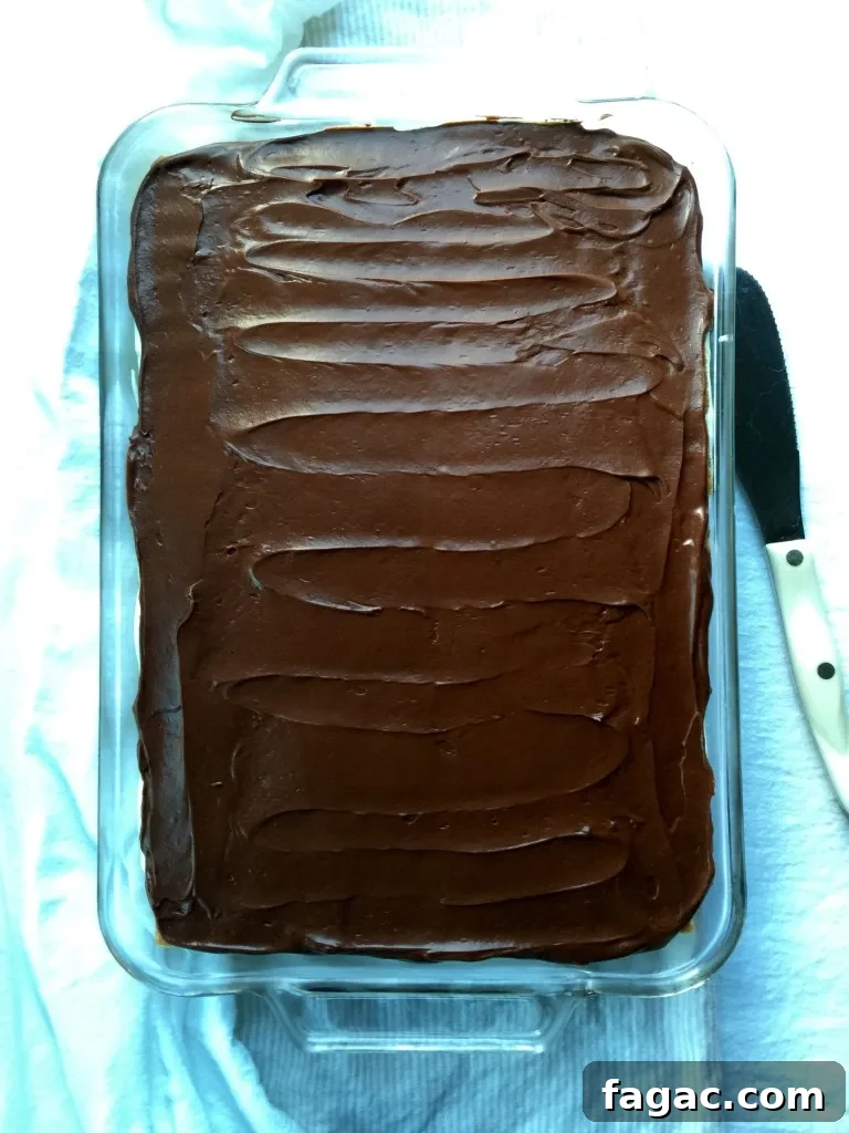 Éclair Cake, overhead in glass dish.