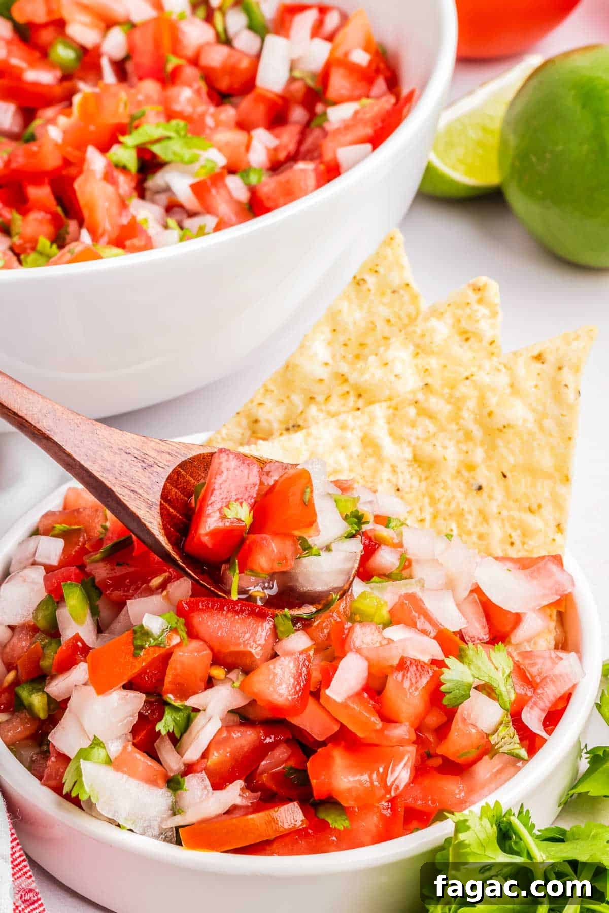 Fresh Homemade Pico de Gallo Recipe: Zesty Salsa in Minutes 2 homemade pico de gallo in a white bowl