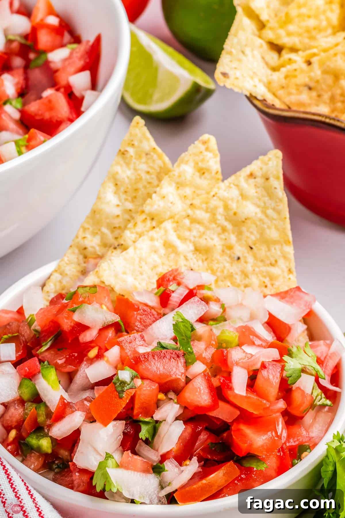 Fresh Homemade Pico de Gallo Recipe: Zesty Salsa in Minutes 11 tortilla chips in a bowl with salsa