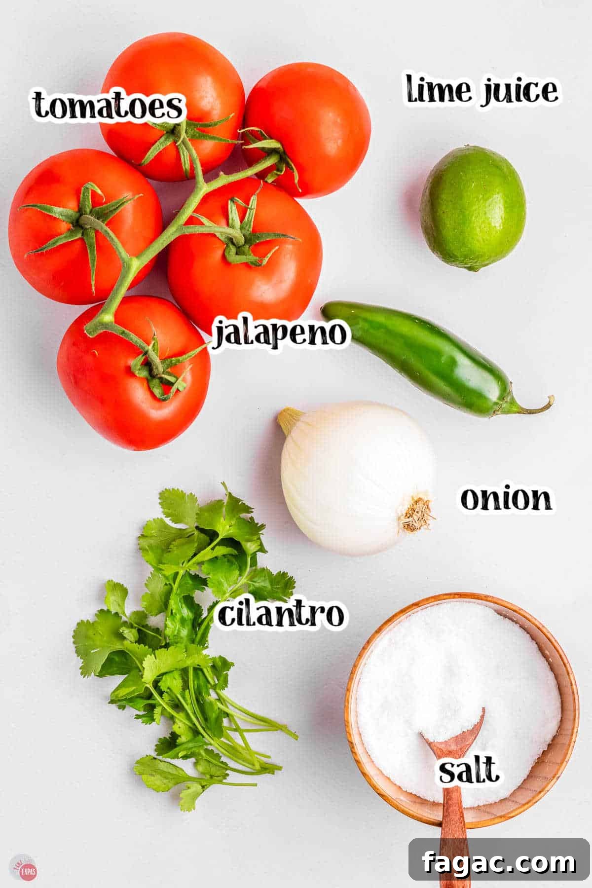Fresh Homemade Pico de Gallo Recipe: Zesty Salsa in Minutes 4 basic ingredients for a homemade salsa recipe