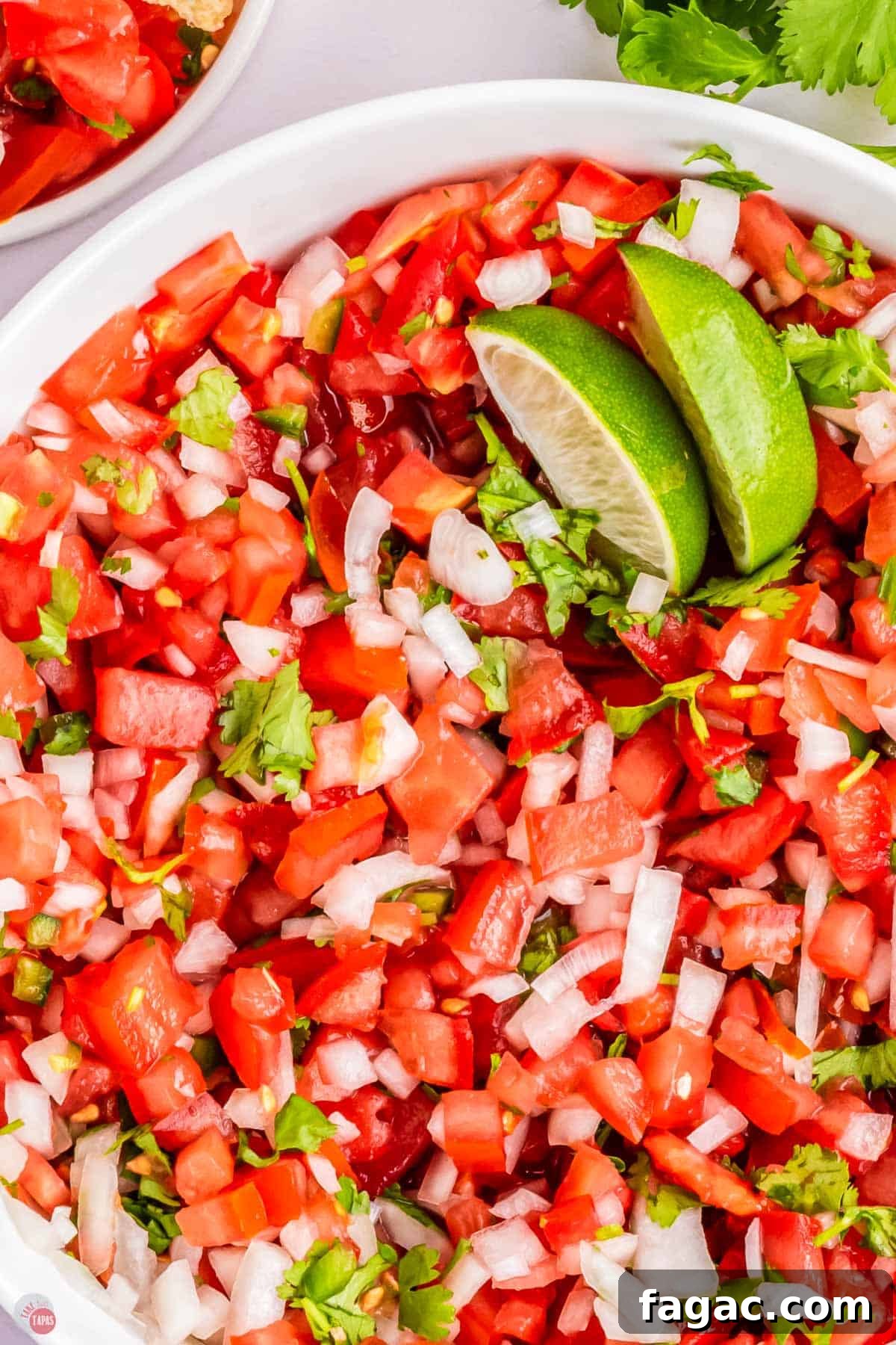 Fresh Homemade Pico de Gallo Recipe: Zesty Salsa in Minutes 10 close up of diced tomatoes and onions