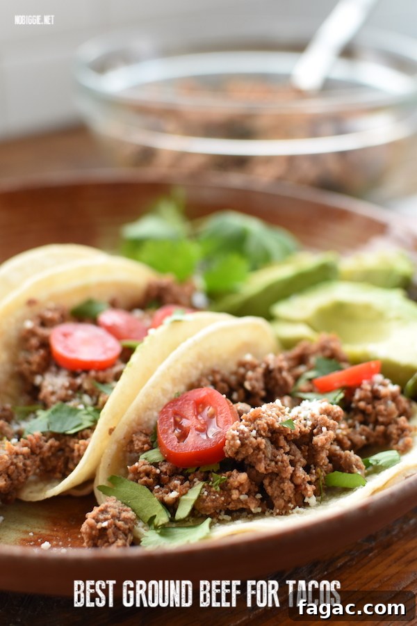 best ground beef tacos | NoBiggie.net
