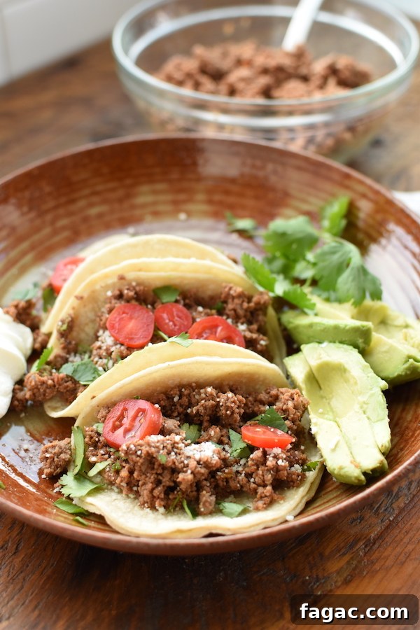 fine texture ground beef for tacos | NoBiggie.net