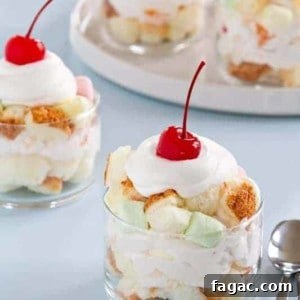 Ambrosia Trifle Recipes: Classic No-Bake Dessert Ideas 2 img 20929 3