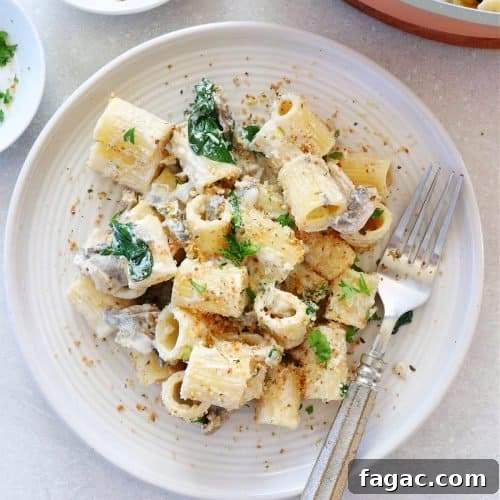 Pasta with Boursin sauce on a plate.