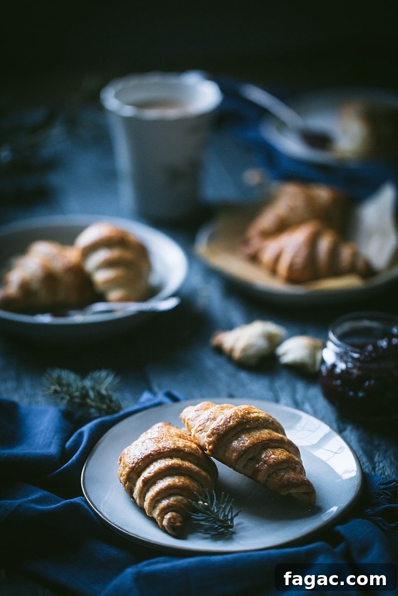 dark and moody shot of a croissant