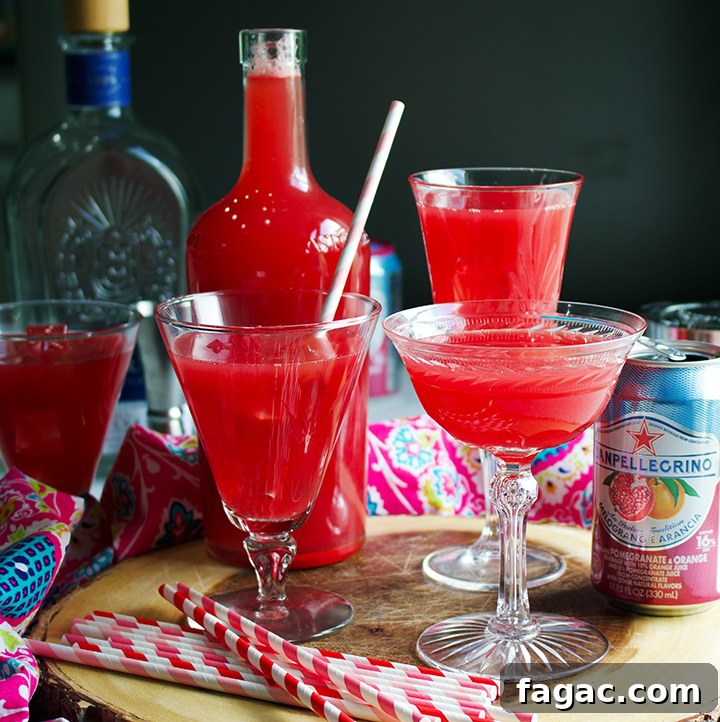 Watermelon Tequila Spritzer