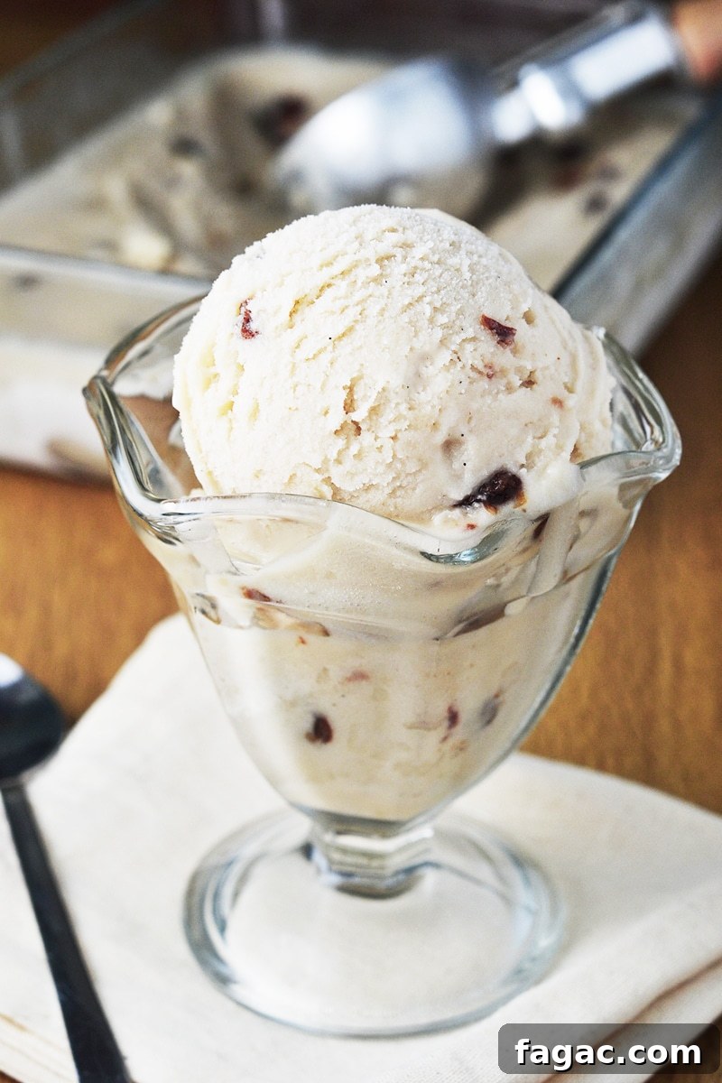 Vegan Rum & Raisin Ice Cream