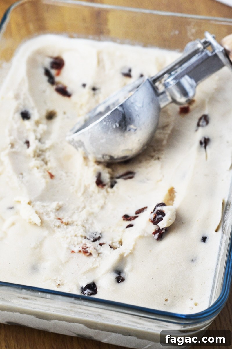Vegan Rum & Raisin Ice Cream