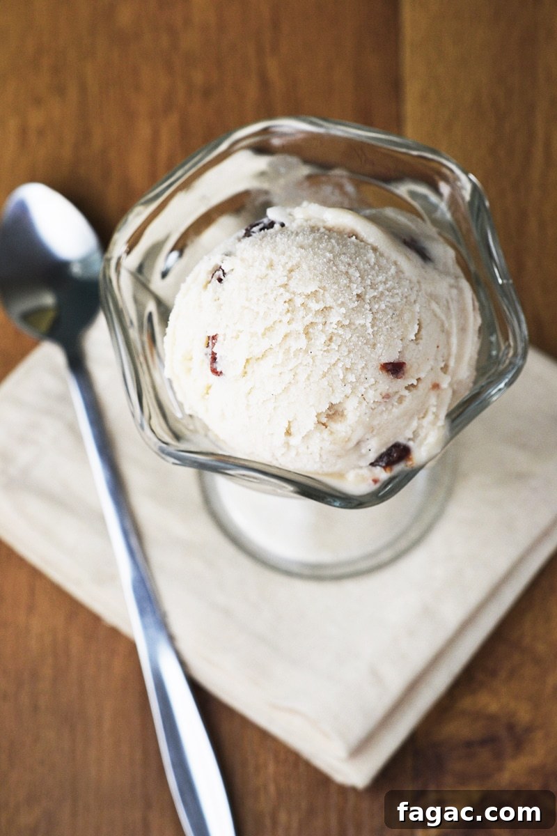 Vegan Rum & Raisin Ice Cream