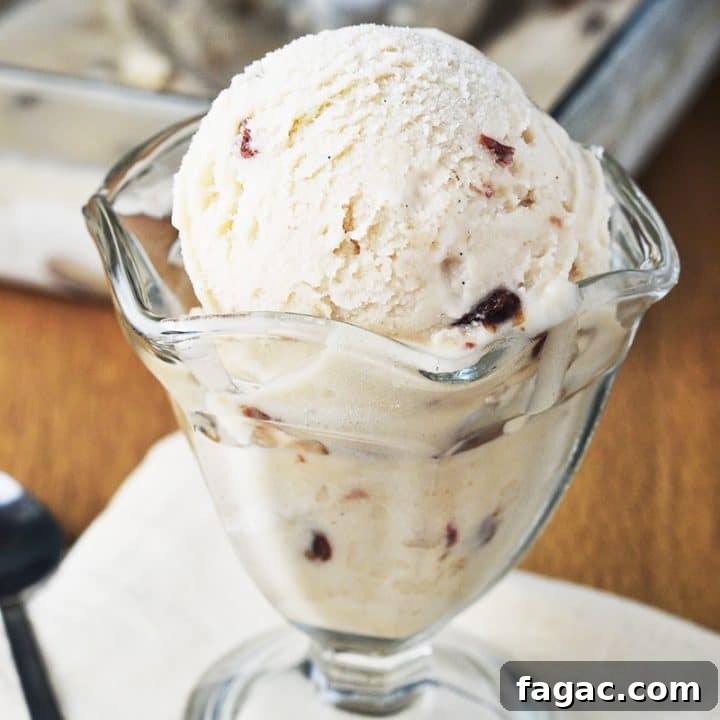 Vegan Rum & Raisin Ice Cream