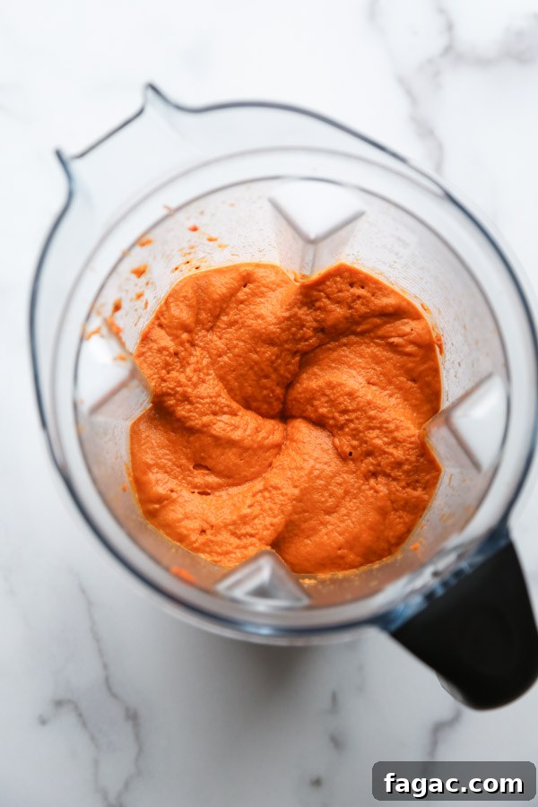 low fodmap tomato sauce in a blender