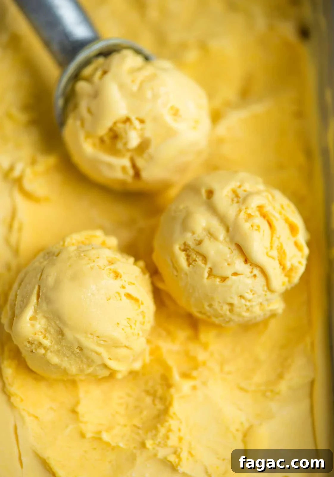 Mango Ice Cream is creamy and tastes better than a tub of store bought ice cream.