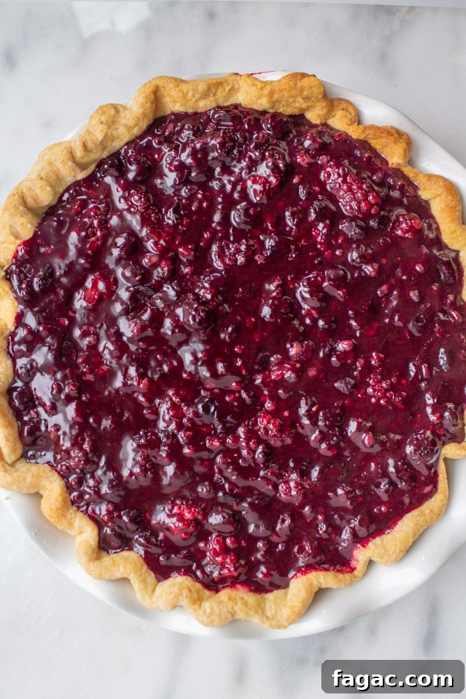 Triple-Berry Pie with Cardamom Crumble Topping 6 berry pie
