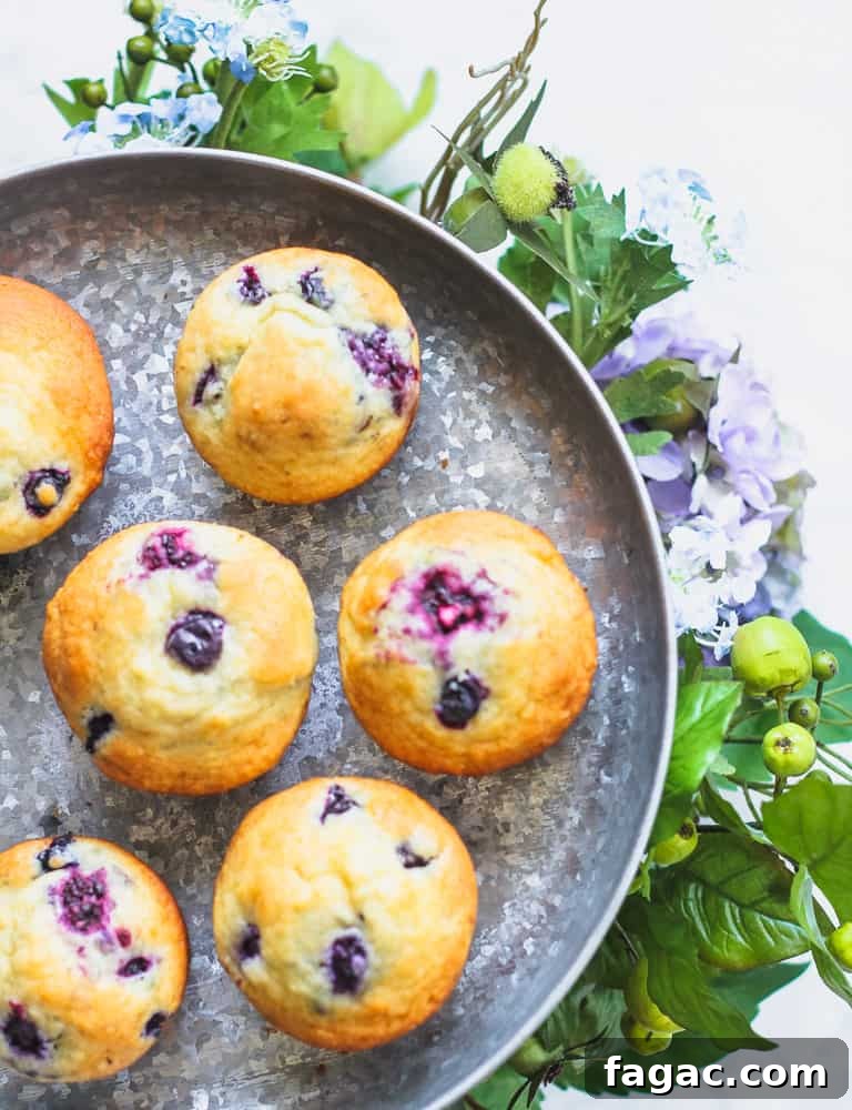 Blueberry and Blackberry Muffins with Sweet Crumble Topping 2 blackberry blueberry muffins