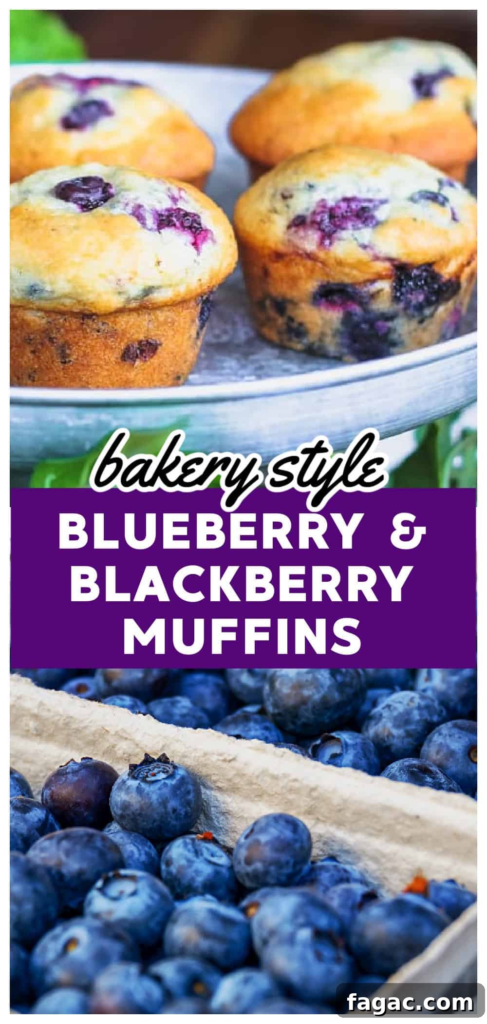 Blueberry and Blackberry Muffins with Sweet Crumble Topping 12 breakfast