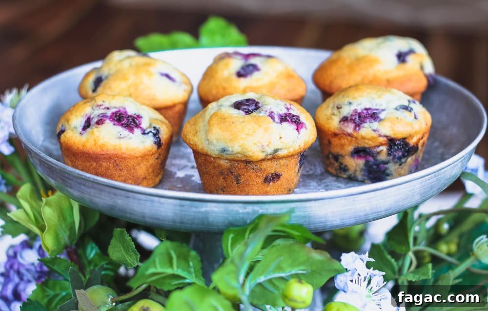 Blueberry and Blackberry Muffins with Sweet Crumble Topping 4 blackberry blueberry muffins