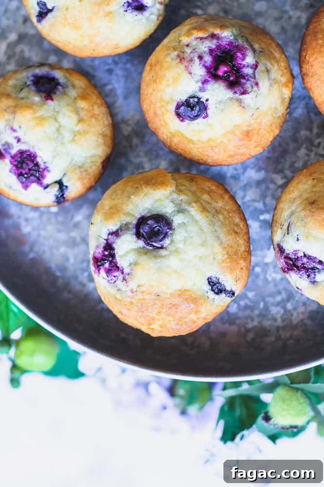 Blueberry and Blackberry Muffins with Sweet Crumble Topping 5 bakery style blueberry muffins
