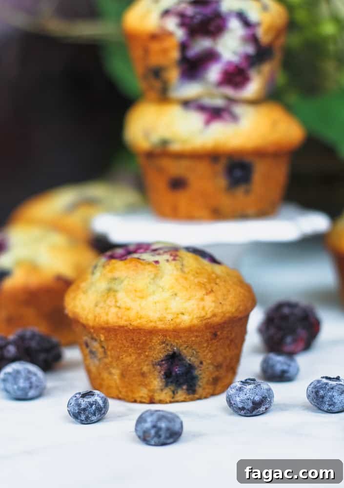 Blueberry and Blackberry Muffins with Sweet Crumble Topping 6 Bakery Style Blueberry & Blackberry Muffins