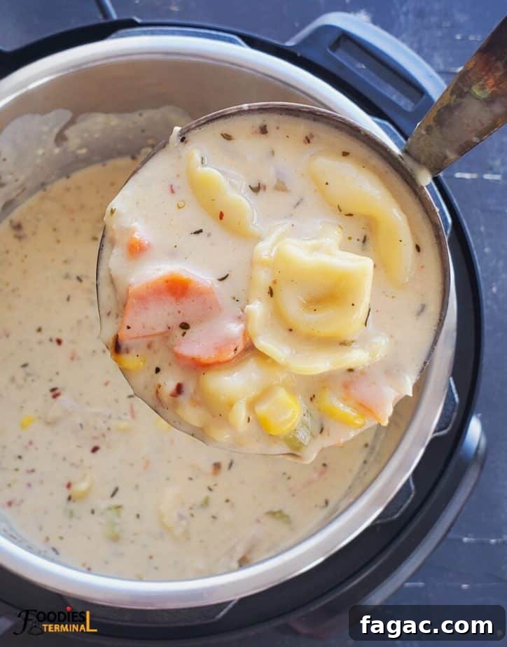 Creamy Chicken Tortellini Soup Recipe: Hearty One-Pot Comfort Meal 4 easy creamy chicken tortellini soup scooped in a ladle from the instant pot