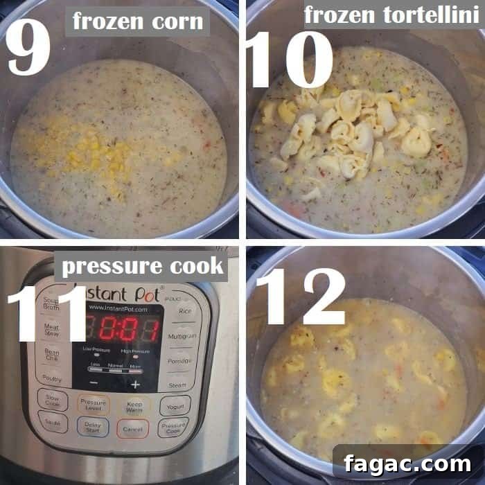 Creamy Chicken Tortellini Soup Recipe: Hearty One-Pot Comfort Meal 7 img 25890 6