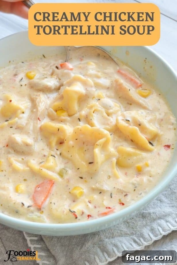 Creamy Chicken Tortellini Soup Recipe: Hearty One-Pot Comfort Meal 9 img 25890 8