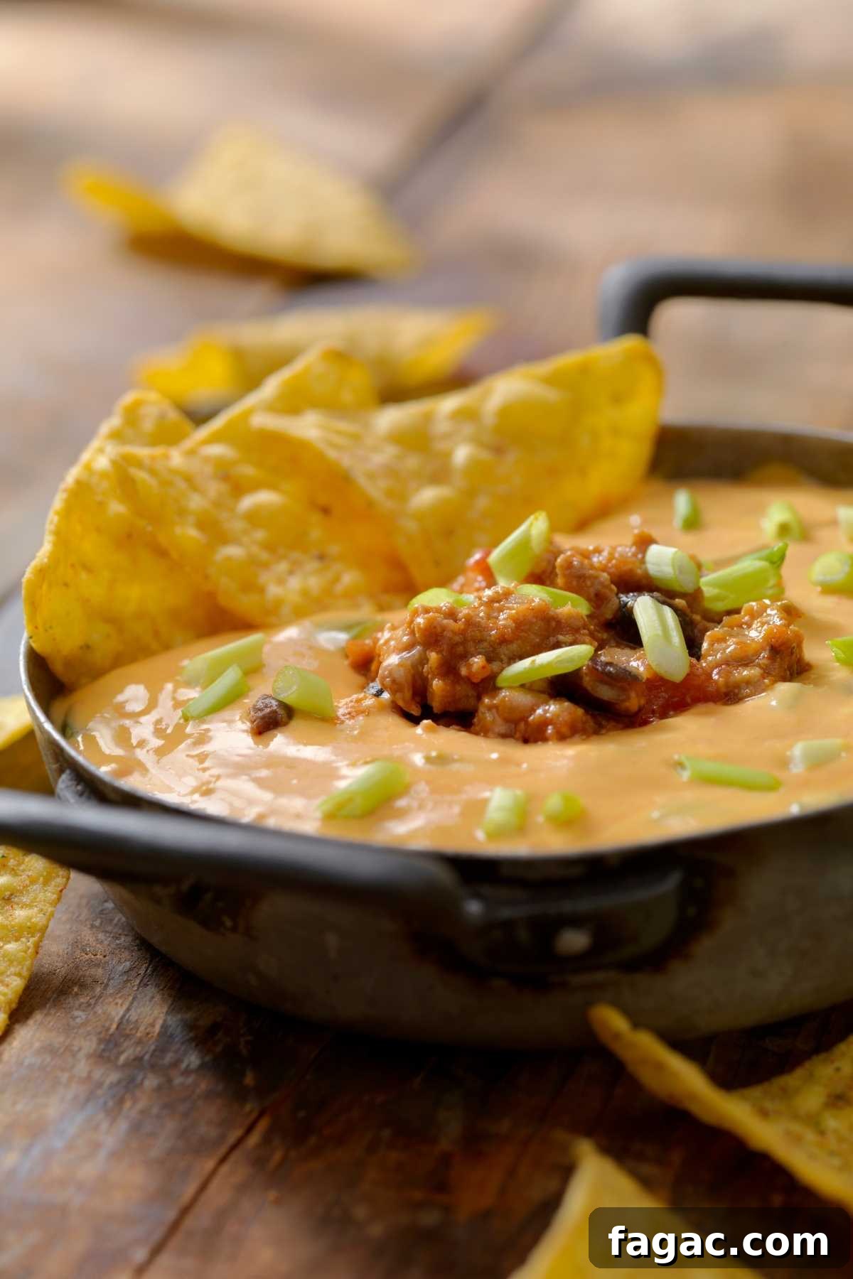 11 Delicious Ways to Transform Leftover Chili into Dinner 6 Baked Vegetarian Chili Cheese Dip