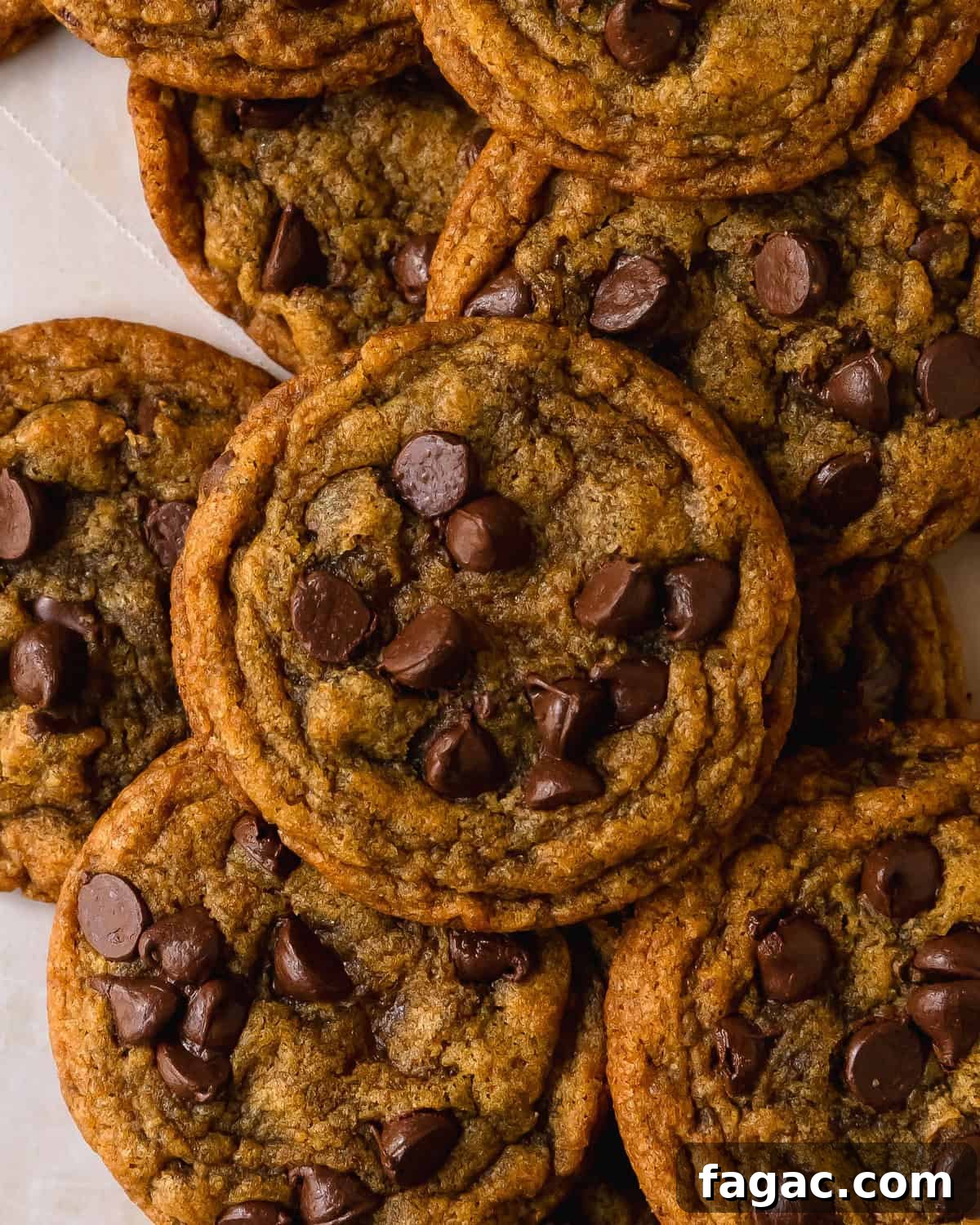 Soft Pumpkin Chocolate Chip Cookies — Fall Baking Recipe 2 Pumpkin chocolate chip cookies are soft and chewy pumpkin cookies filled with nutty brown butter, cozy warming spices and lots of melty chocolate chips. These chocolate chip pumpkin cookies are easy to make and have a quick chill time. Make these chewy pumpkin chocolate cookies whenever you want a classic cookie with the perfect flavor twist for fall.
